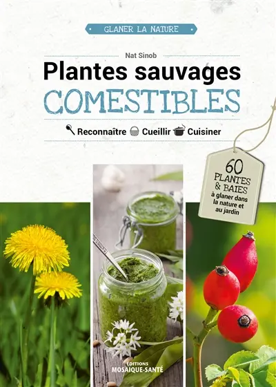 Plantes sauvages comestibles : reconnaître, cueillir, cuisiner