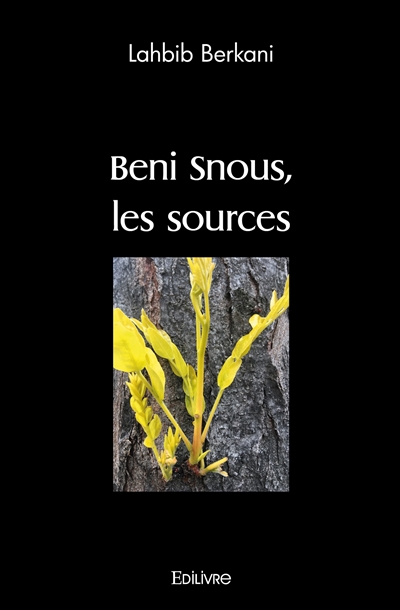 Beni snous, les sources