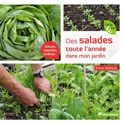 Des salades toute l'année dans mon jardin : laitues, mesclun, endives...