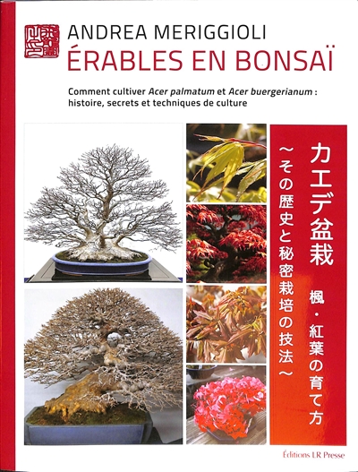 Erables en bonsaï : comment cultiver Acer palmatum et Acer buergerianum : histoire, secrets et techniques de culture