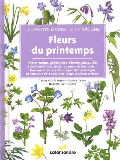 Fleurs du printemps : perce-neige, primevère élevée, jonquille, cardamine des prés, anémone des bois... : reconnaître les fleurs printanières par la couleur et découvrir leurs particularités