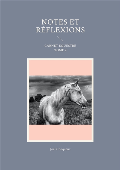 Notes et réflexions :...