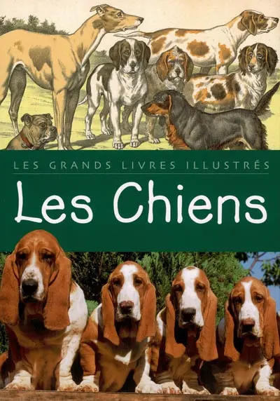 Les chiens
