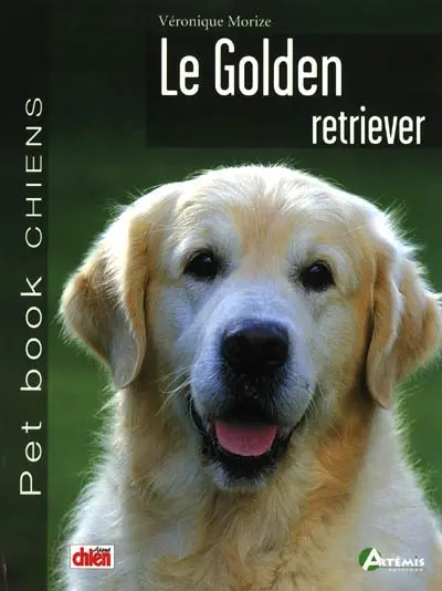 Le golden retriever