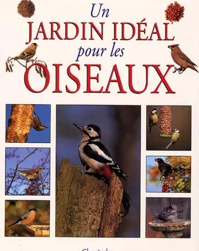 Un jardin idéal pour les oiseaux