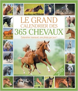 Le grand calendrier des 365 chevaux 2019 : calendrier mensuel, une photo par jour !