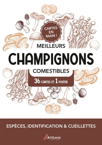 Meilleurs champignons...