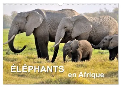 Eléphants en Afrique (Calendrier mural 2026 DIN A3 vertical), CALVENDO calendrier mensuel : Les éléphants d'Afrique sont imposants et puissants à la fois, mais parfois aussi affectueux et attentionnés.