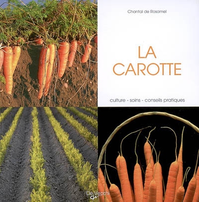 La carotte : culture, soins, conseils pratiques