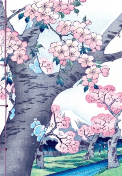 Les cerisiers en fleurs...
