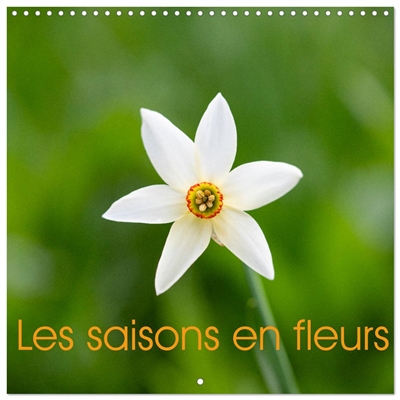 Les saisons en fleurs...