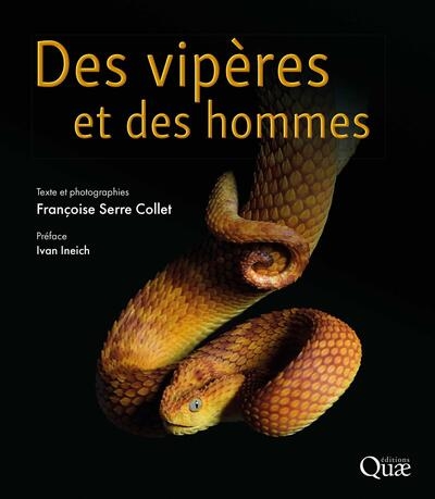 des vipères et des hommes