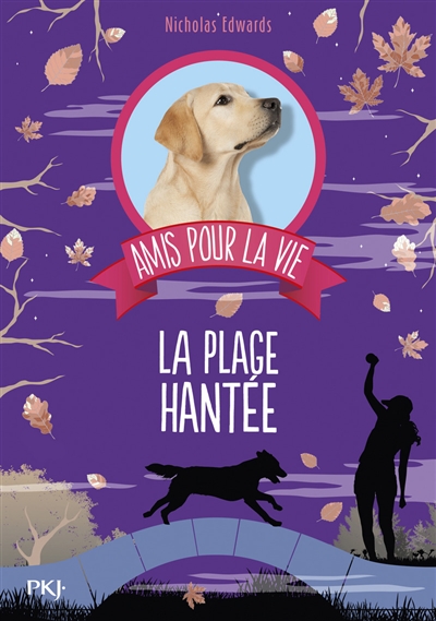 Amis pour la vie - La plage hantée