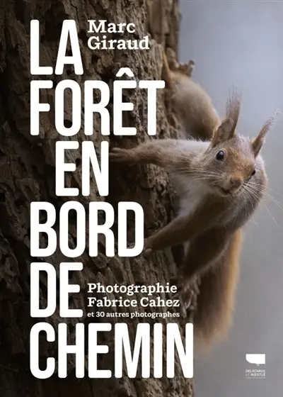 La forêt en bord de chemin