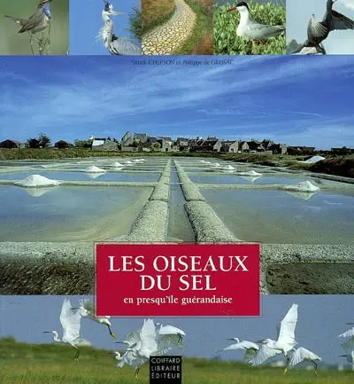 Les oiseaux du sel en presqu'île guérandaise