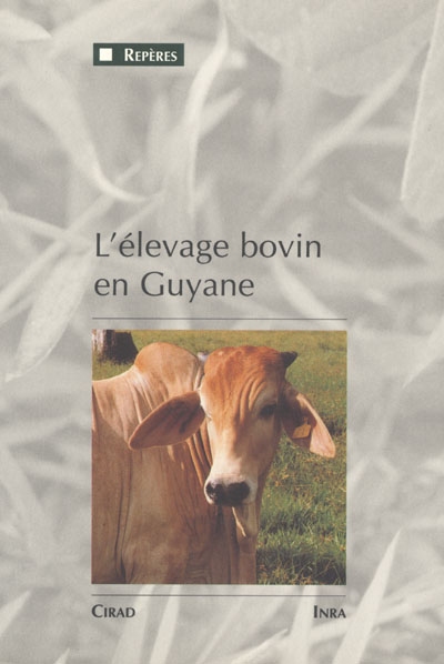 L'élevage bovin en Guyane : une innovation majeure dans un milieu équatorial de plaine 1975-1990