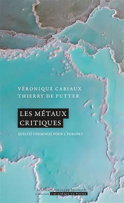 Les métaux critiques : quel(s) chemin(s) pour l'Europe ?