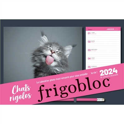 Frigobloc photos Chats rigolos 2024 (de janv. à déc. 2024)