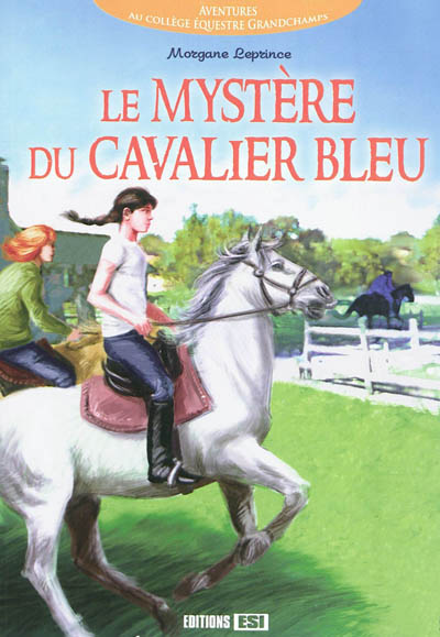 Le mystère du cavalier bleu