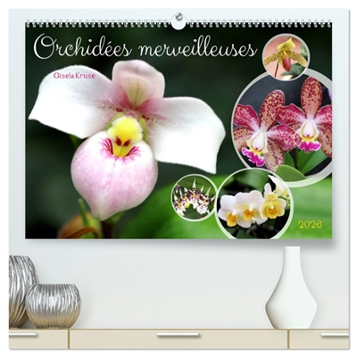 Orchidées merveilleuses...