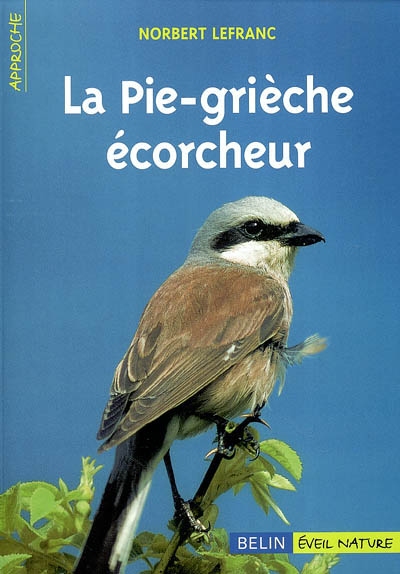 La Pie-grièche écorcheur