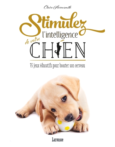 Stimulez l'intelligence de votre chien : 75 jeux éducatifs pour booster son cerveau