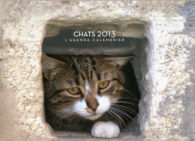 L'agenda-calendrier Chats 2013