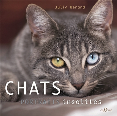 Chats : portraits insolites