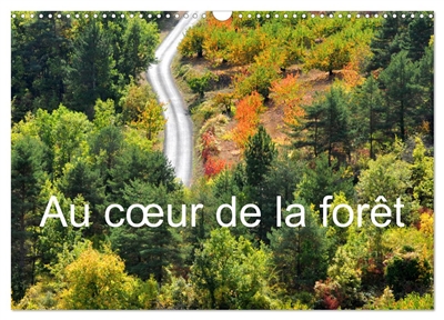 Au cœur de la forêt...