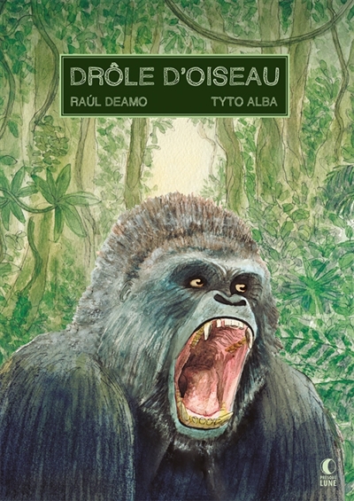 Drôle d'oiseau