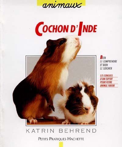 Cochon D'inde