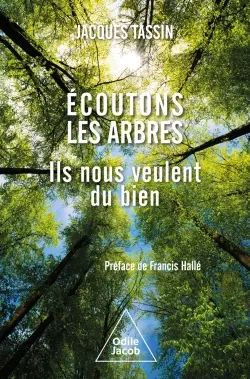 Ecoutons les arbres : ils nous font du bien