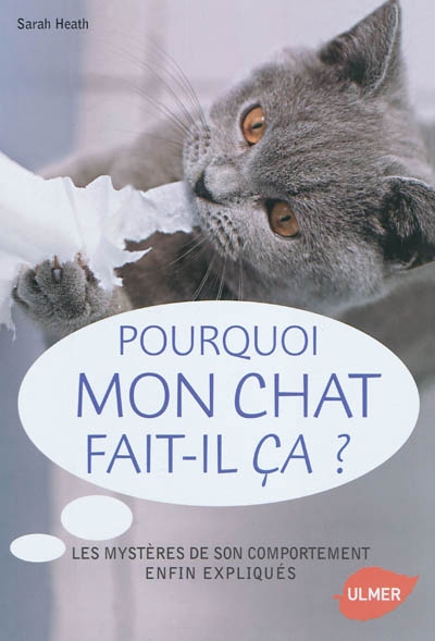 pourquoi mon chat fait-il ça?