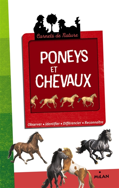 Poneys et chevaux : observer, identifier, différencier, reconnaître