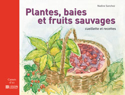 Plantes, baies et fruits sauvages : cueillette et recettes