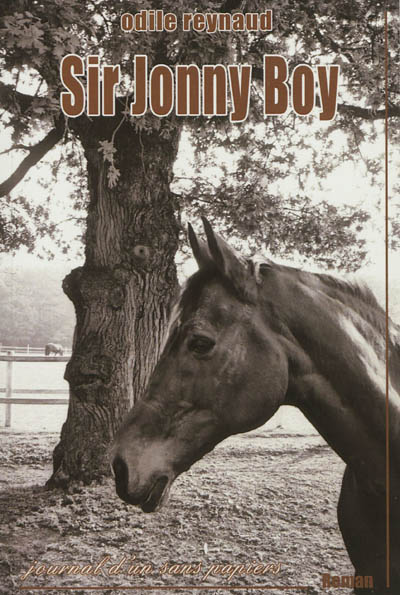 Sir Jonny Boy : le journal d'un sans-papiers
