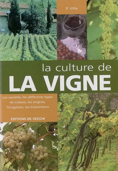 La culture de la vigne