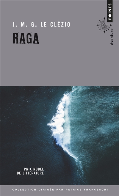 Raga : approche du continent invisible : récit