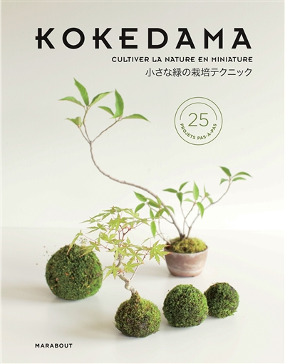 Kokedama : mini-bonsaïs & autres sculptures de mousse : comment cultiver la verdure en miniature ?