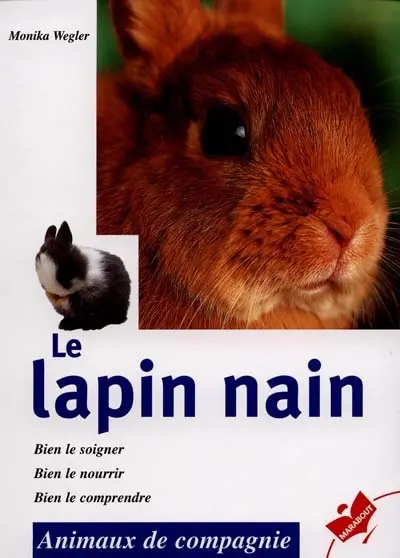 Le lapin nain