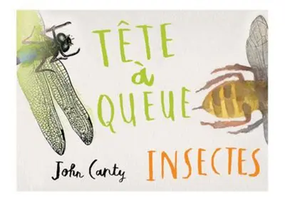 Tête-à-queue : insectes