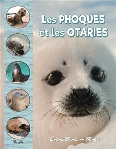 Les phoques et les otaries