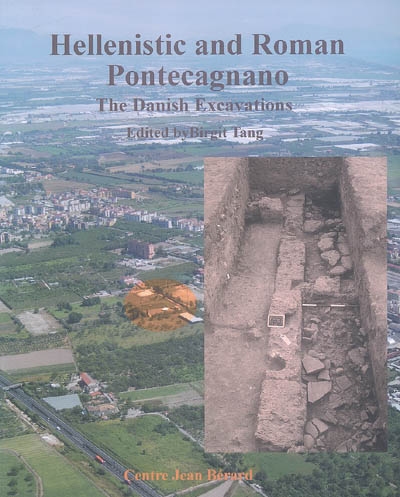 Hellenistic and Roman Pontecagnano : the Danish excavations in Proprieta Avallone, 1986-1990