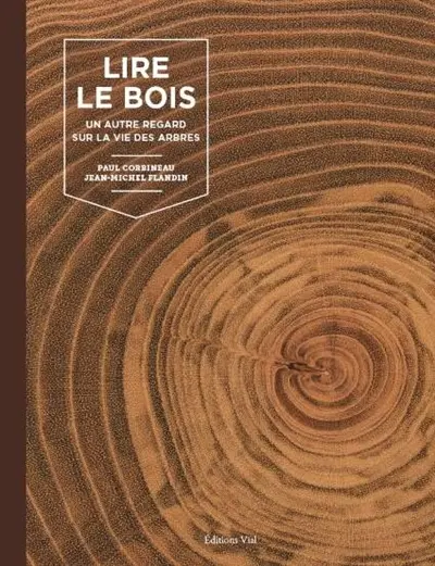 Lire le bois : un autre regard sur la vie des arbres