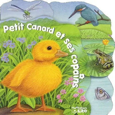 Petit canard et ses copains