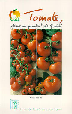 Tomate : pour un produit de qualité