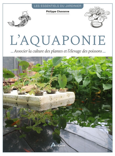 L'aquaponie : associer la culture des plantes et l'élevage des poissons