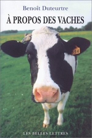 a propos des vaches