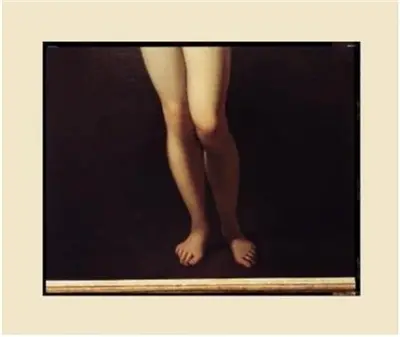 Richard Misrach Pictures of Paintings