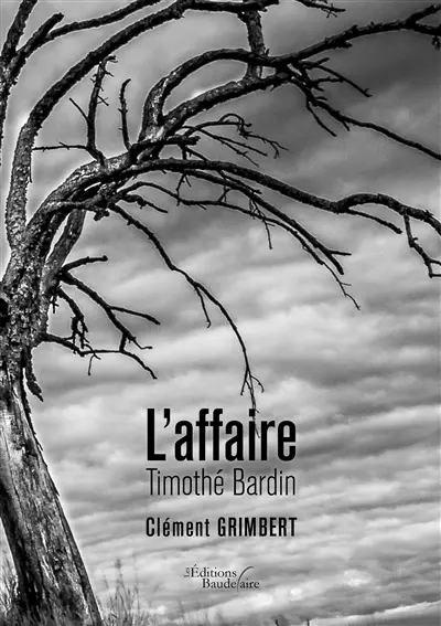 L'affaire Timothé Bardin